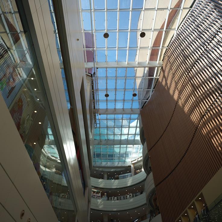 Dining out as an expat family in Netherlands